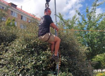 Dd83346a 3bca 4d10 Ae45 196c8812fe0b