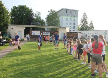 481476505 613812148122698 8099525541310790838 N